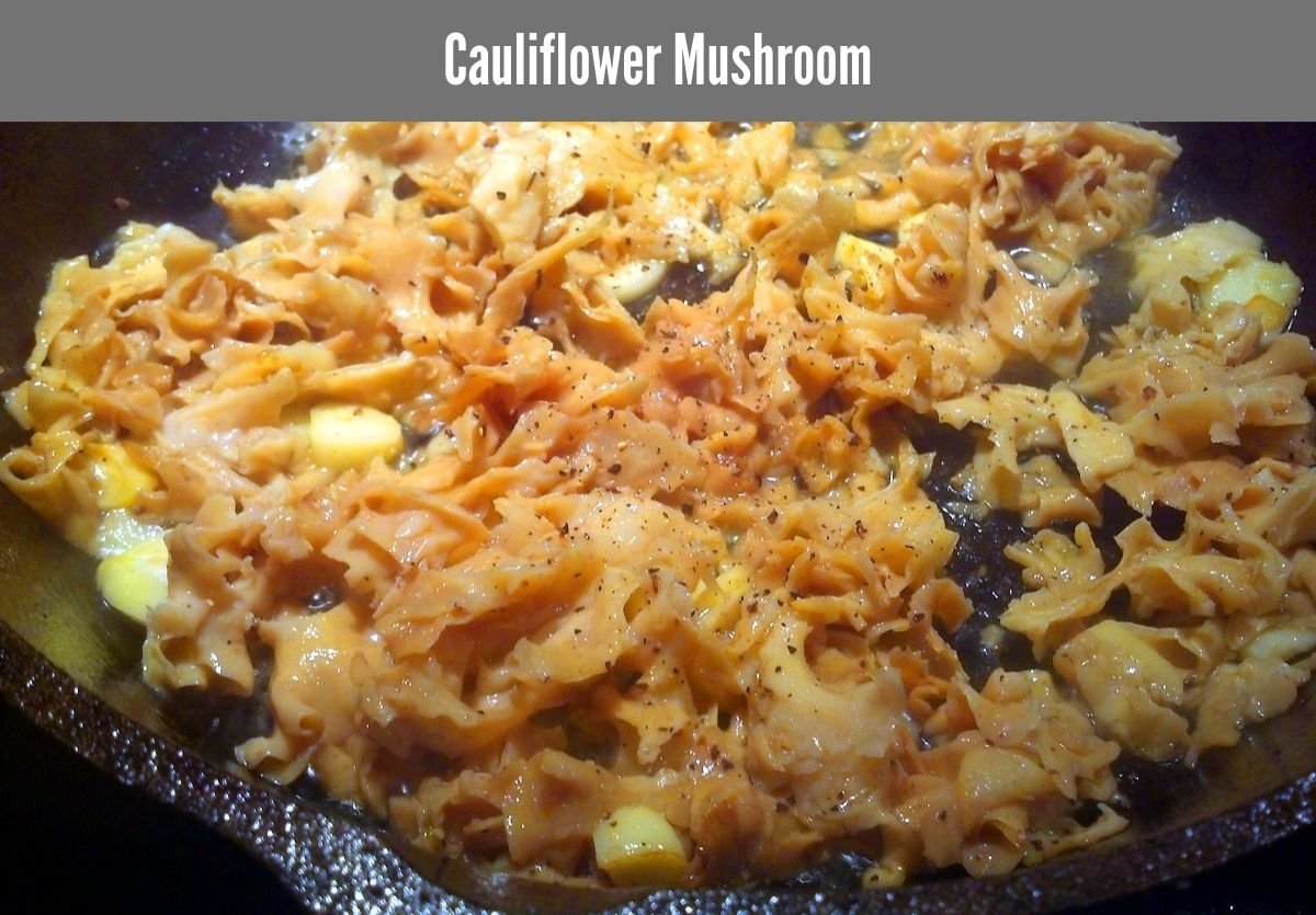 Cauliflower Mushroom Recipe: Taste the Gourmet Fusion